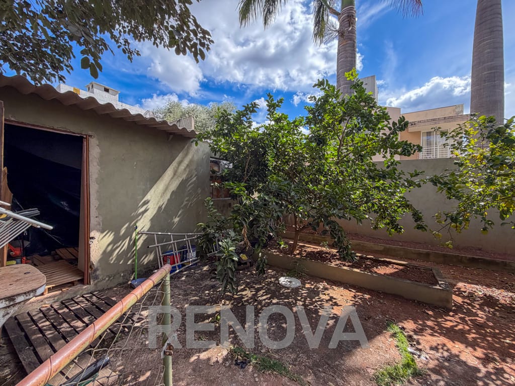 IMG_9990